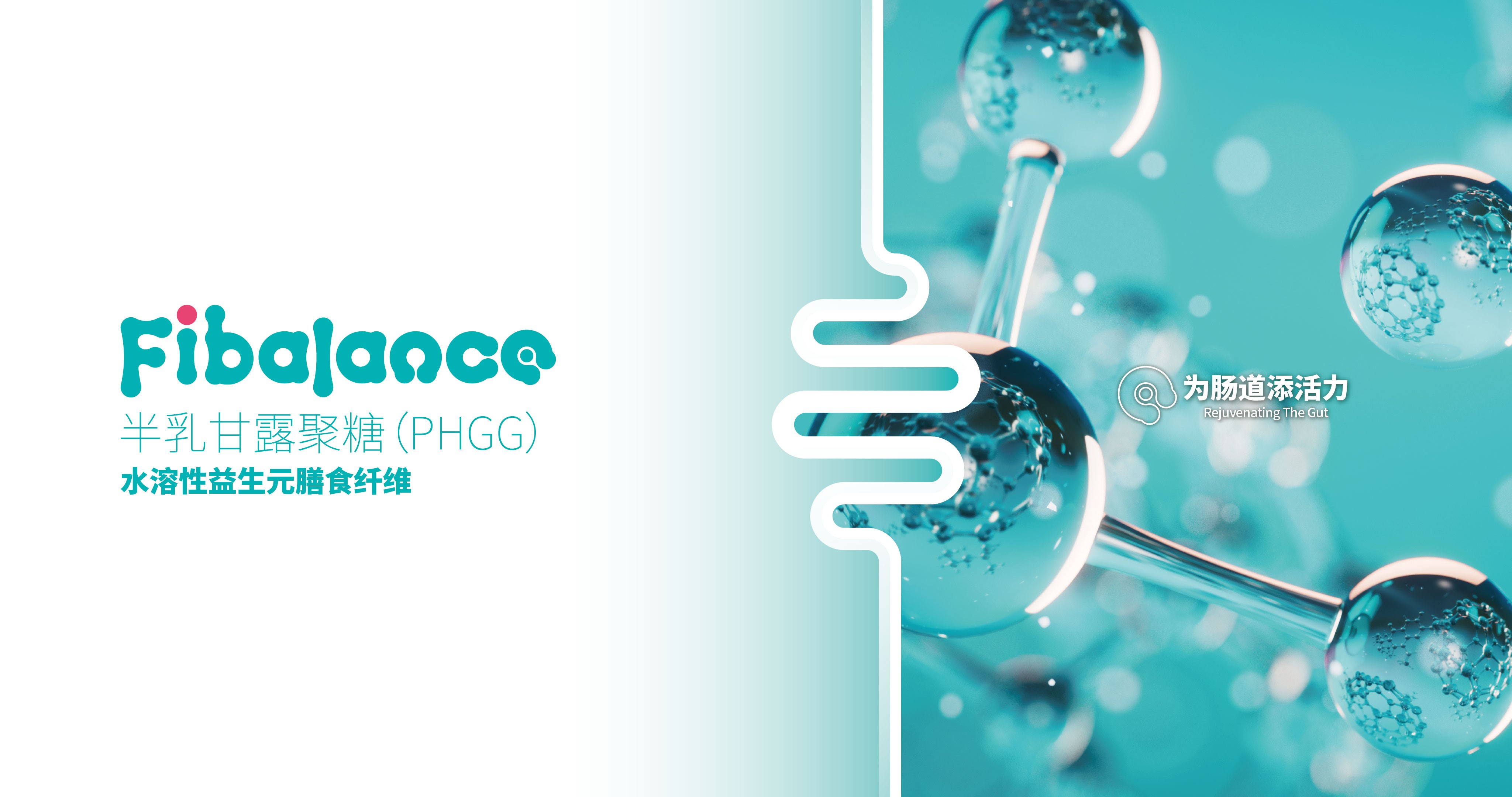 fibalance®宣传图