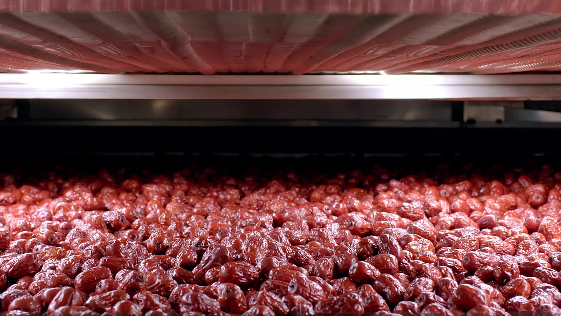 烘干的红枣原料