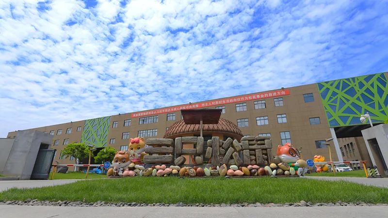 三只松鼠 图片来源：三只松鼠