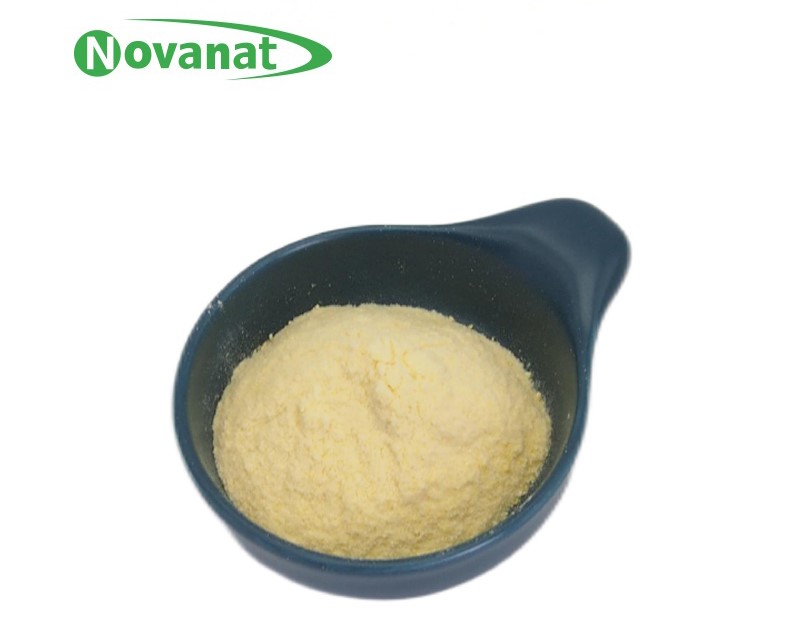 植物乳杆菌lp-onlly（杀菌型）