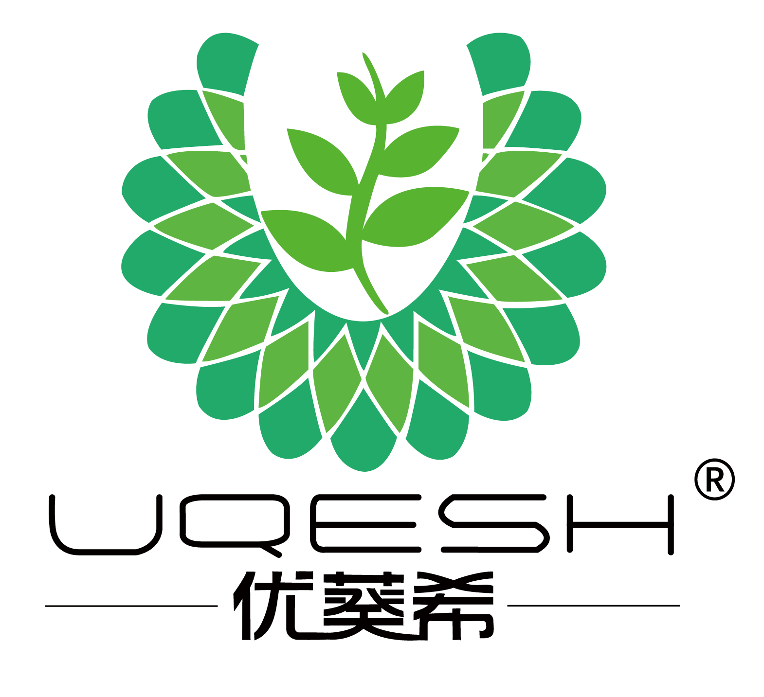 优葵希新材料科技（上海）有限公司logo