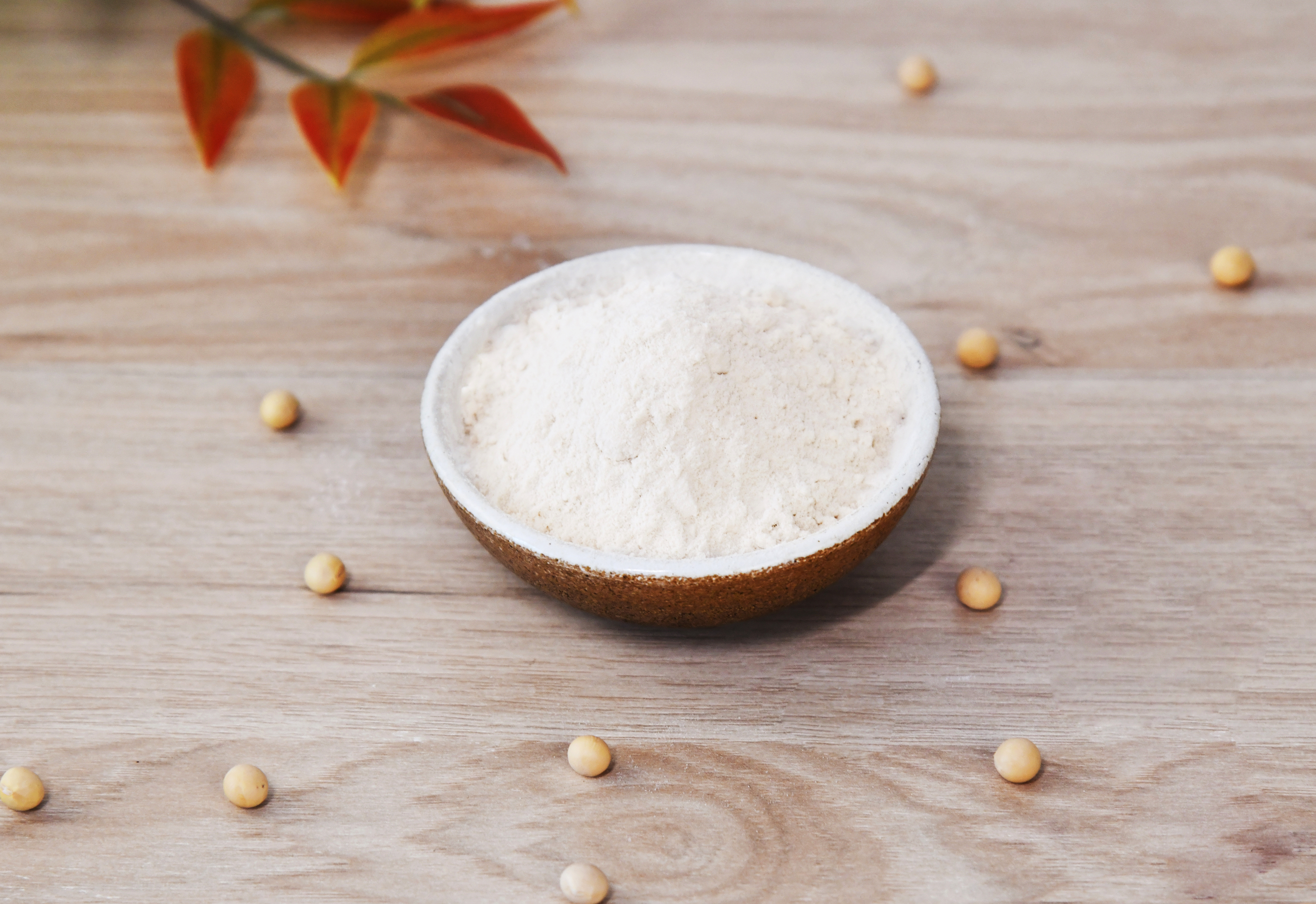 纳豆冻干粉实拍