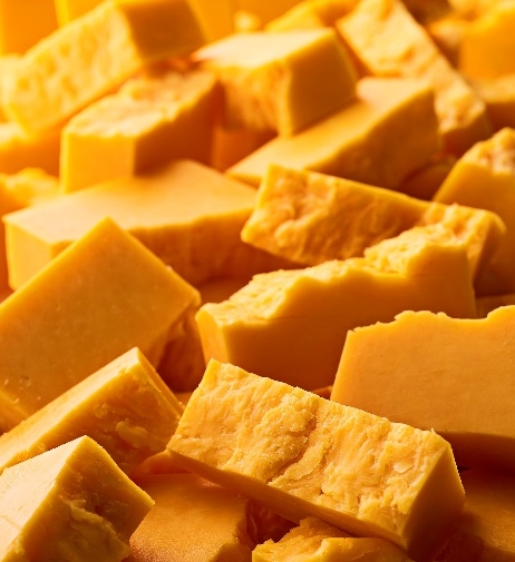 dairymax®系列适用于奶酪 图片来源：诺黛然