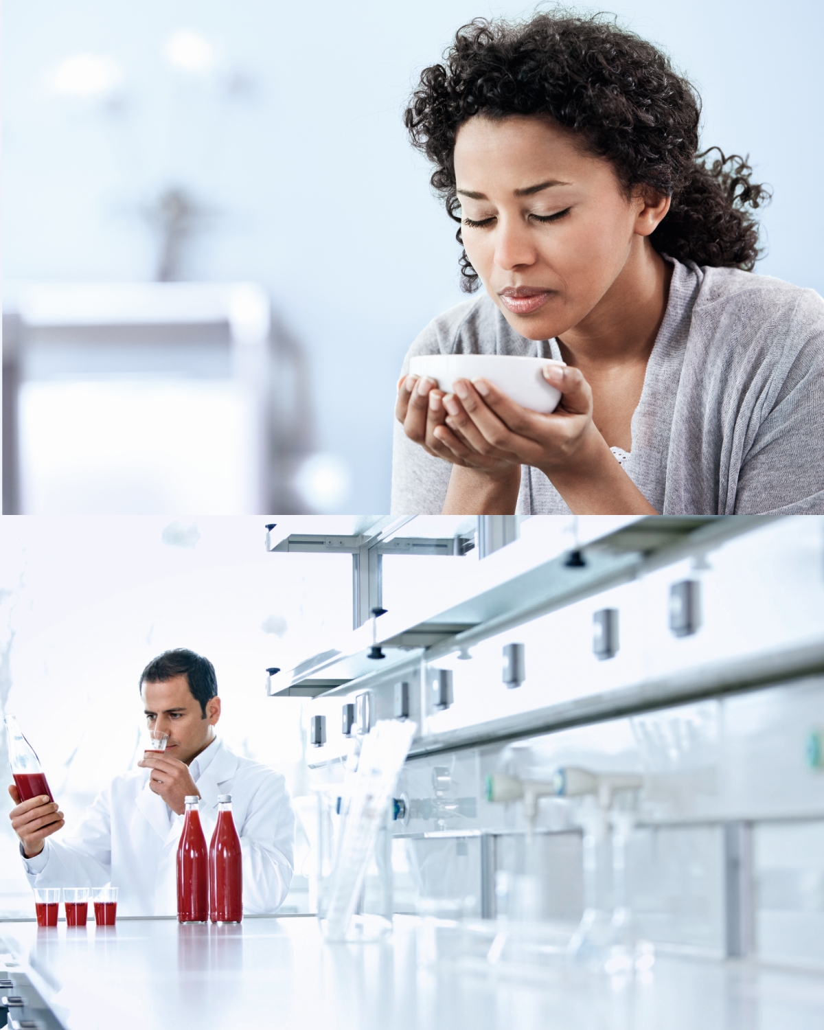 德乐的专家团队 图片来源：德乐