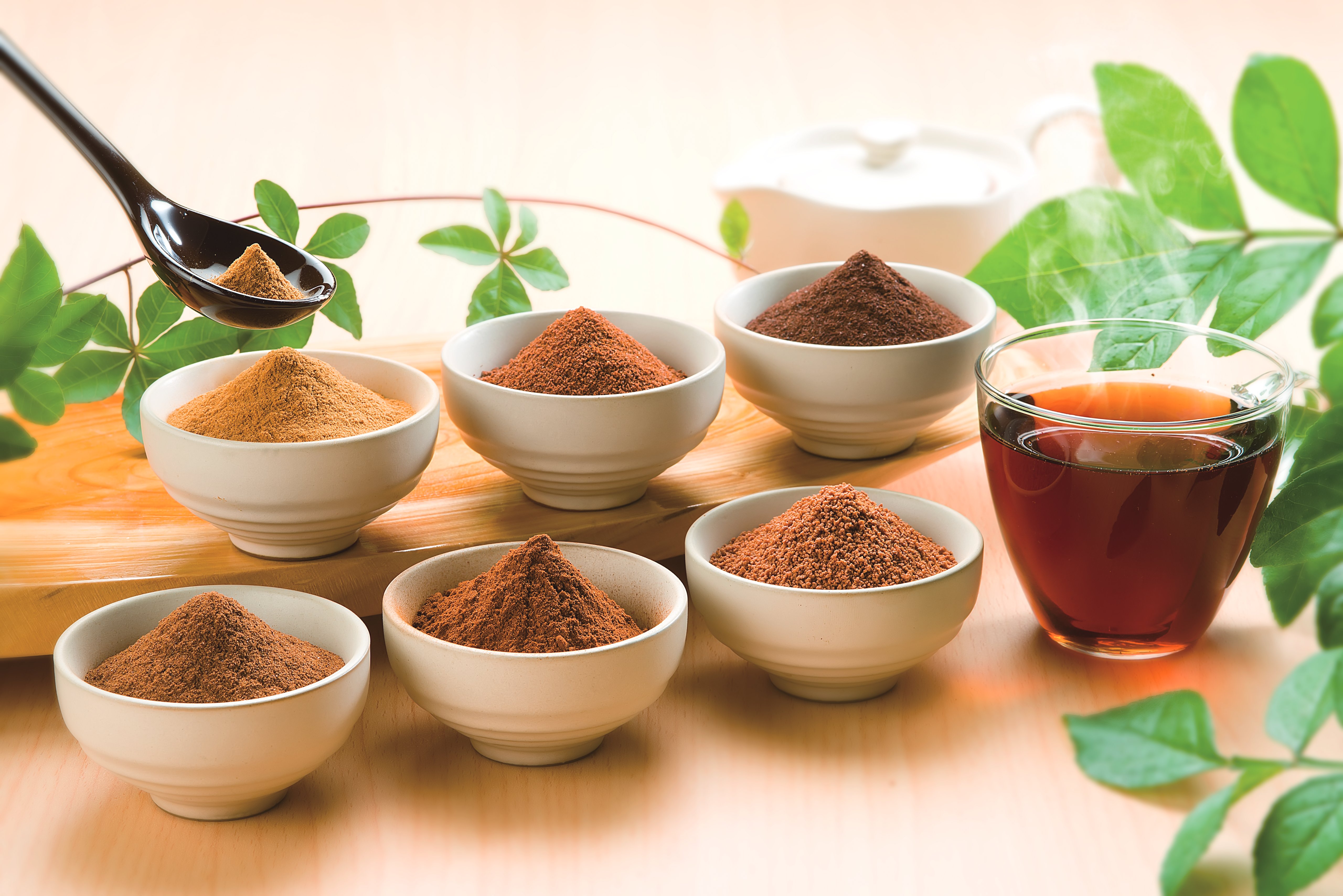 大闽国际速溶茶粉系列