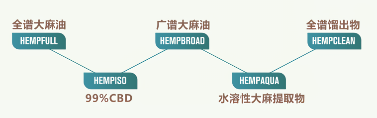 莱茵工业大麻类型3