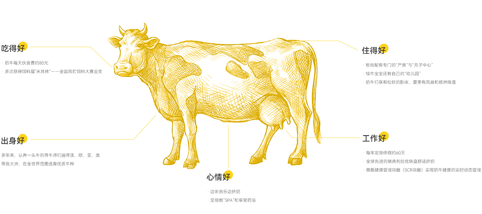 认养一头牛“五好奶牛”标准 图片来源：认养一头牛九游会官网 