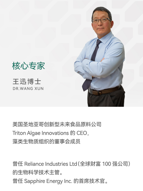 triton总裁王迅博士个人介绍