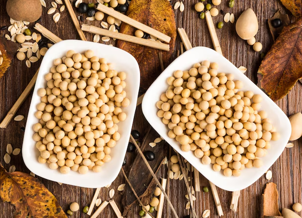 大豆 图片来源：freepik