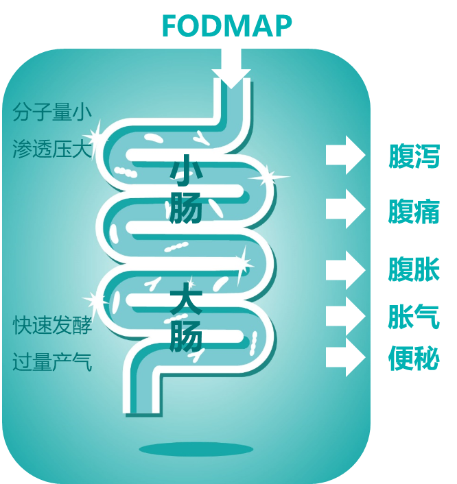 fodmap