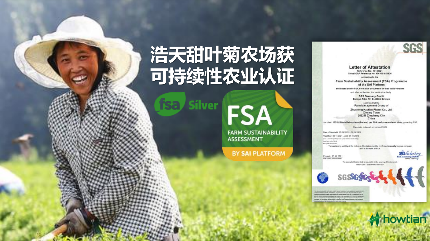 浩天甜叶菊农场获可持续性农业认证