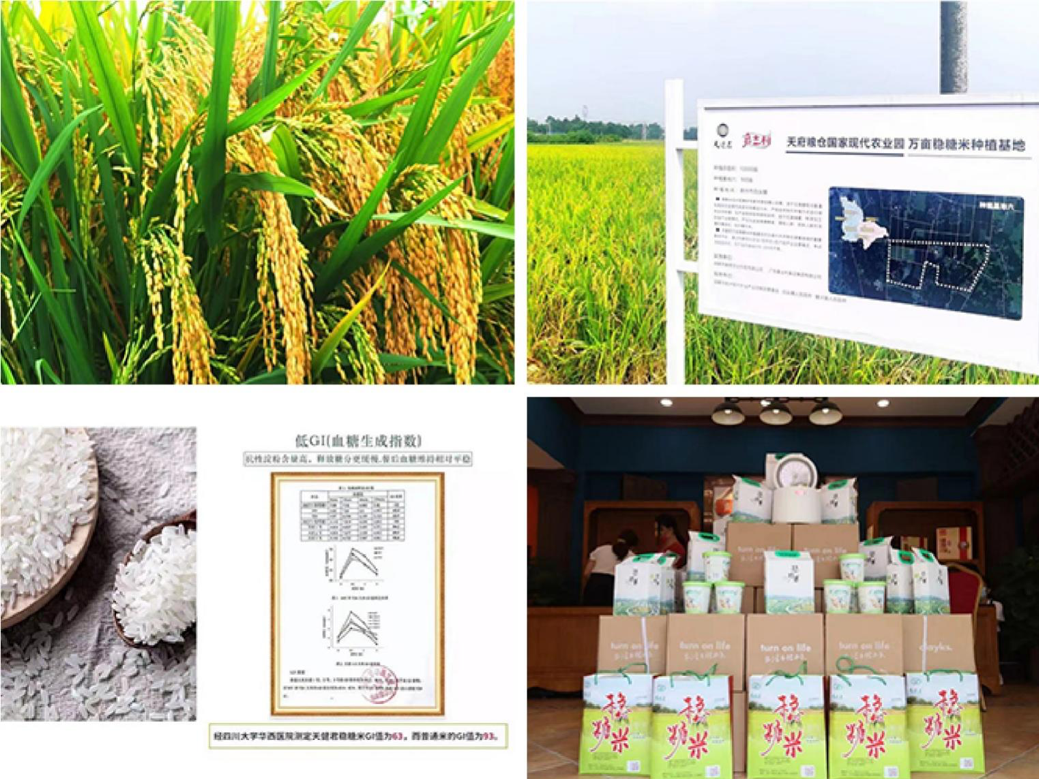 嘉健公司稳糖米