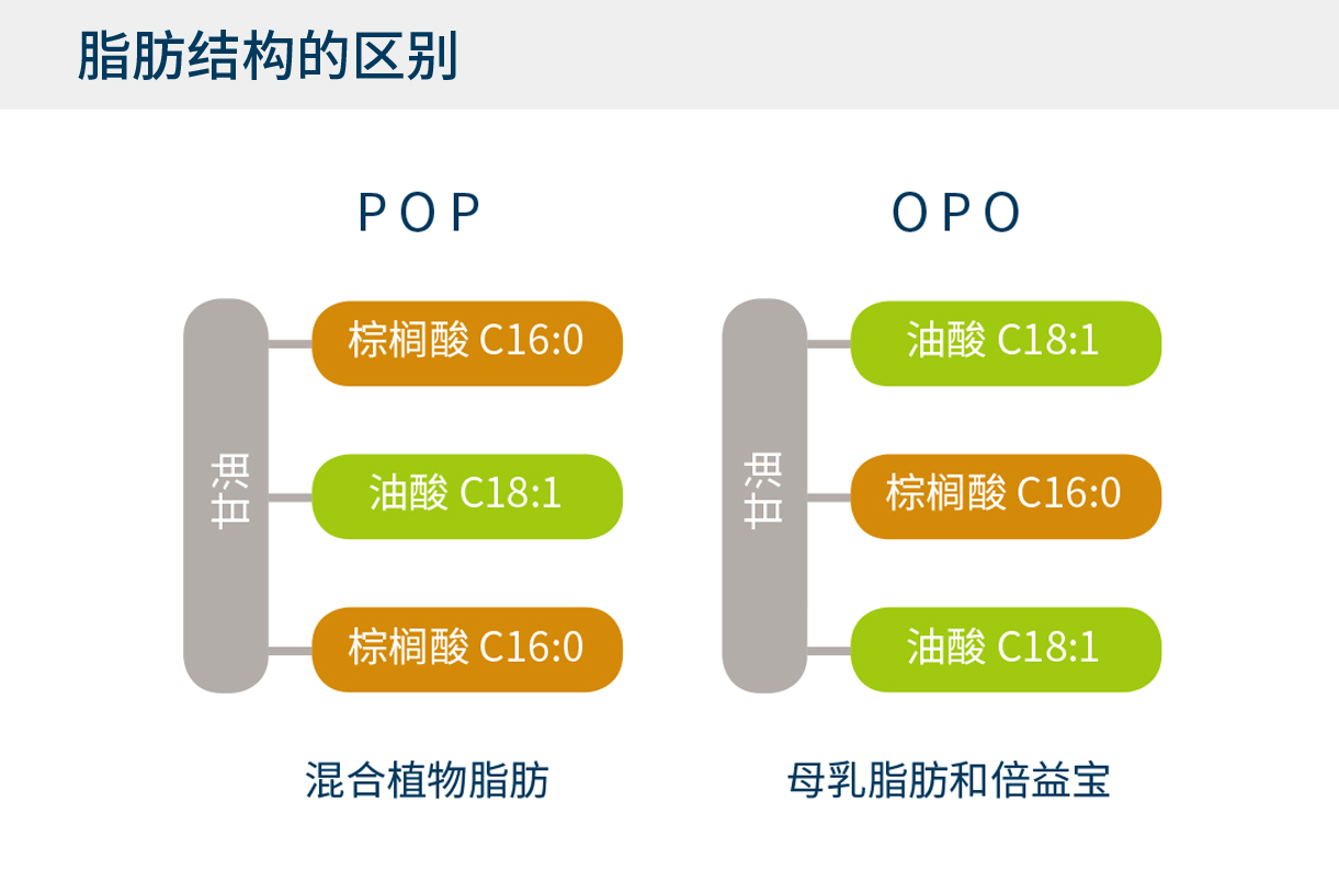 常见混合植物脂肪结构和母乳脂肪结构的区别