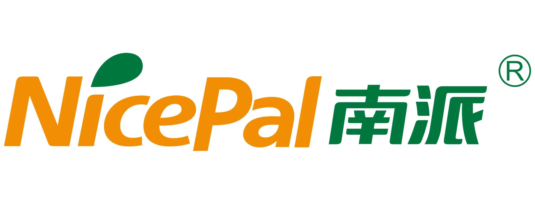 海南南派实业有限公司logo