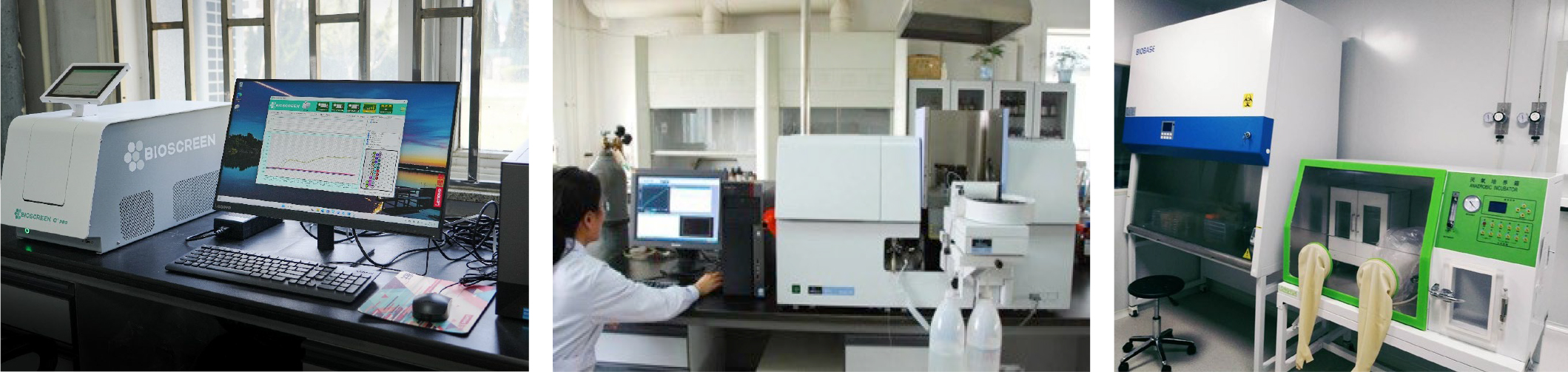 理化及微生物分析