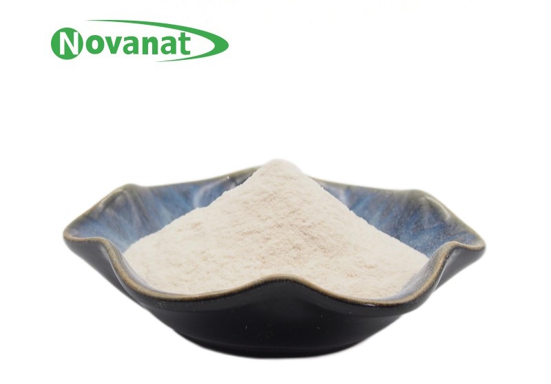 长双歧杆菌bl88-onlly