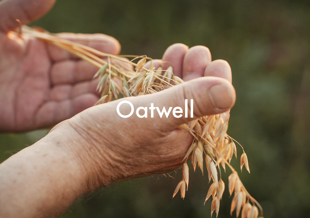 奇华顿燕麦产品oatwell