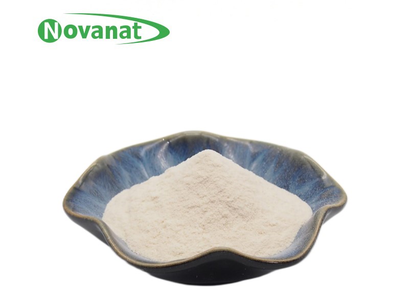 植物乳杆菌lp-onlly