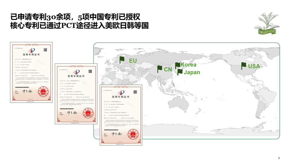 弈柯糖全球专利地图