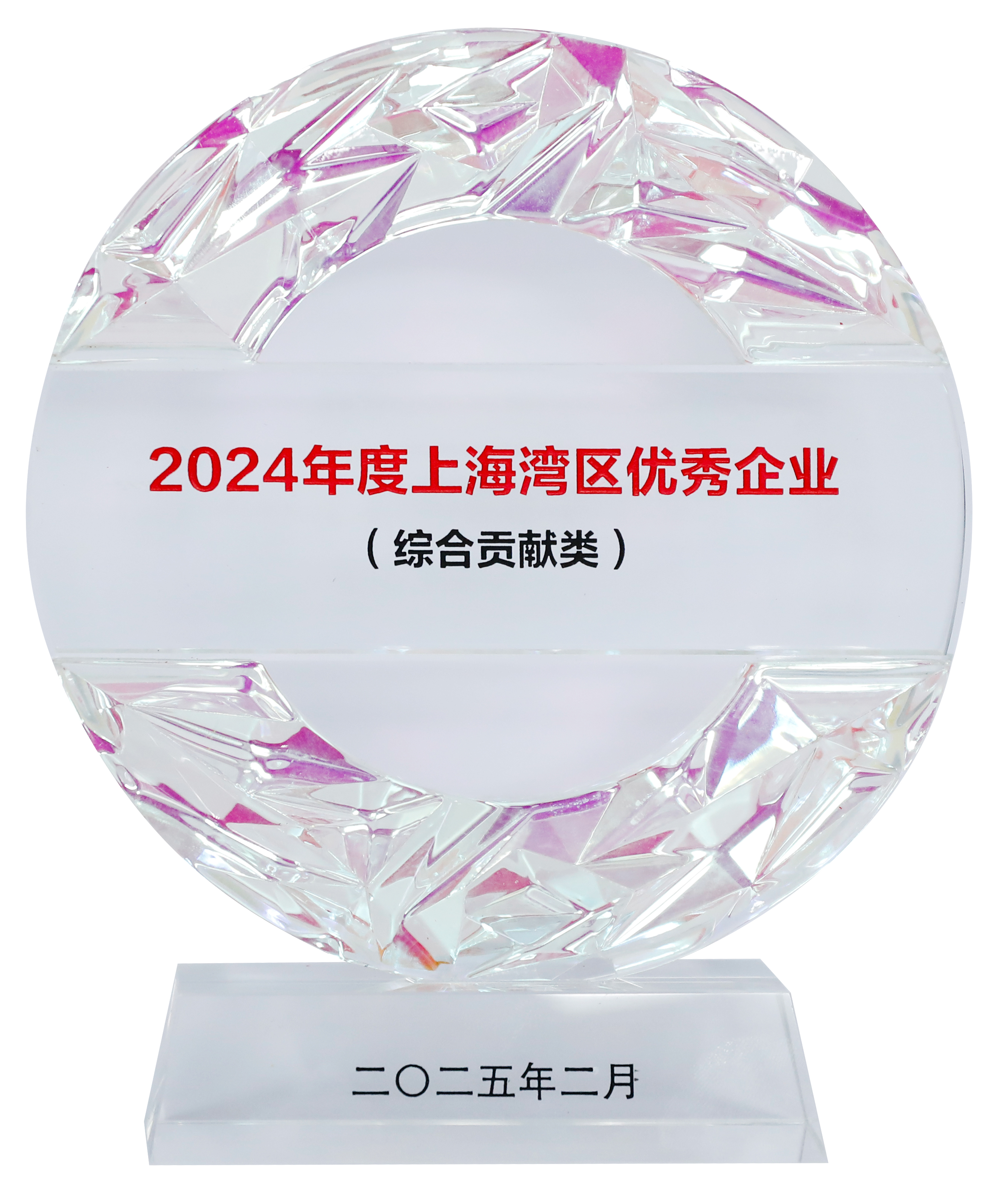 2024上海湾区优秀企业