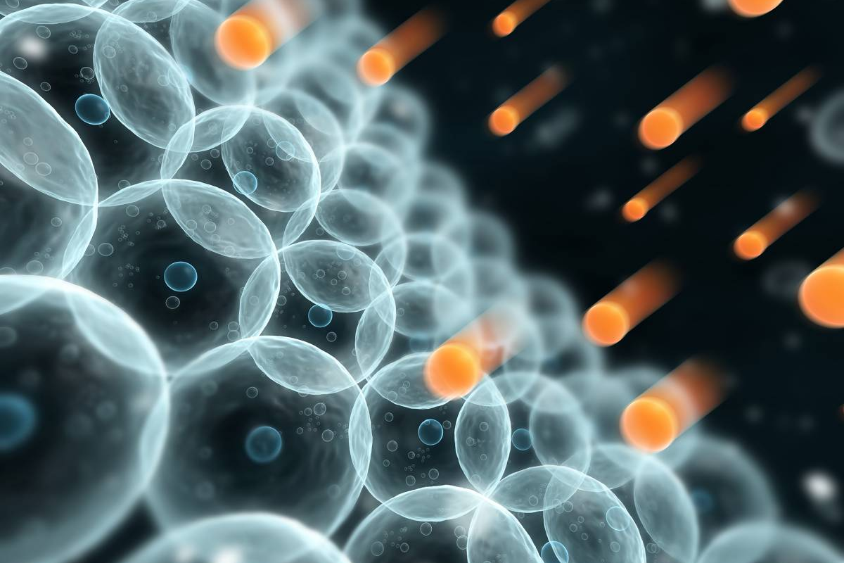 抗氧化剂对抗破坏性因子