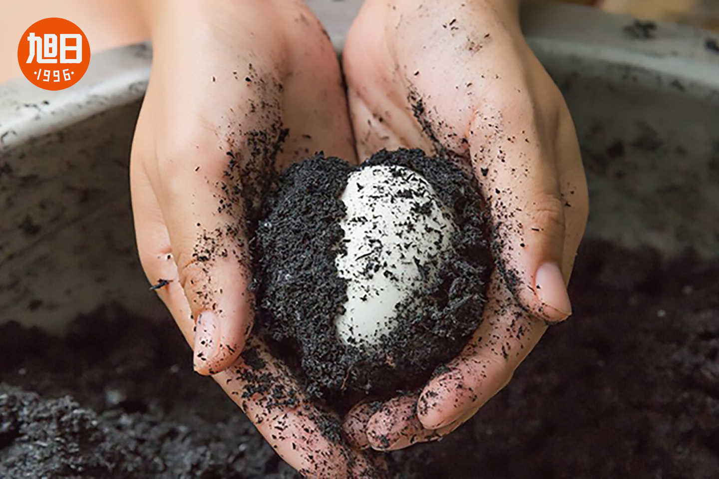 旭日禾草灰咸鸭蛋