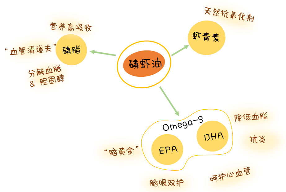 南极磷虾油有益成分