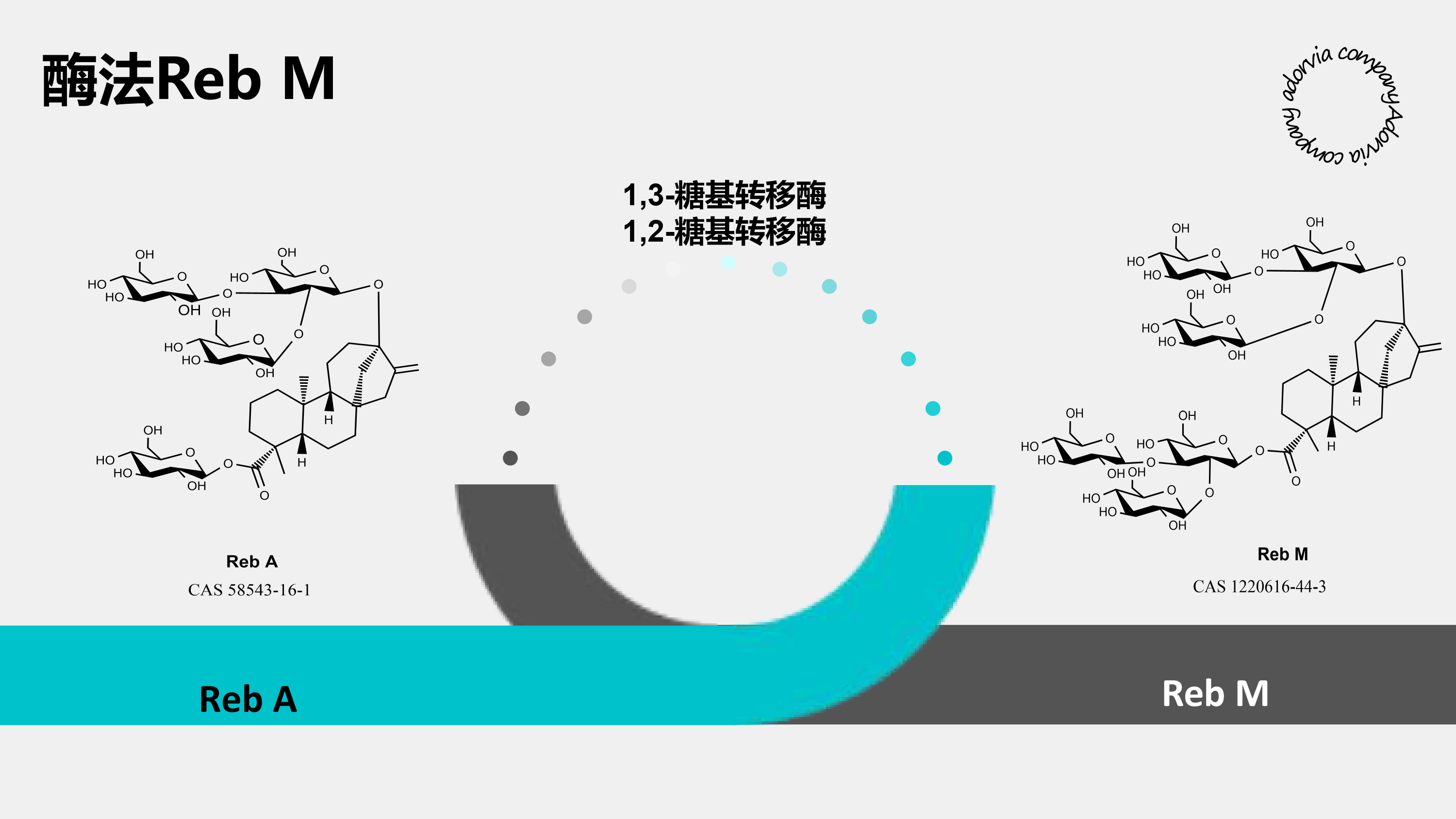酶法reb&nbsp;m