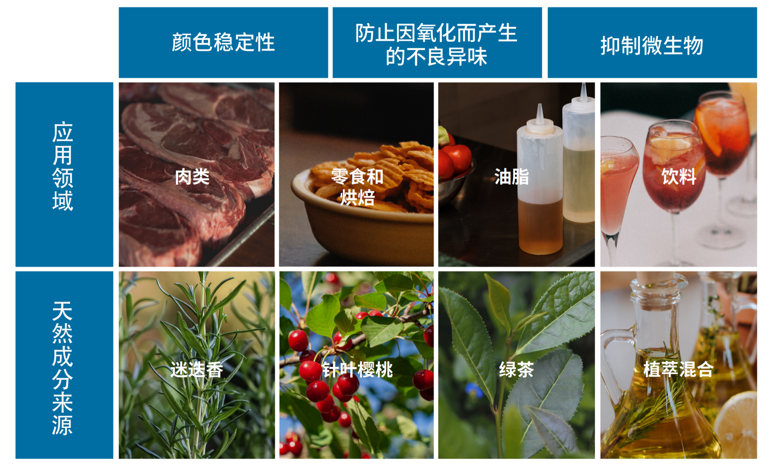 奇华顿天然提取物抗氧化剂系列应用与功效