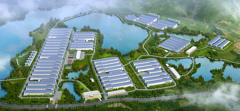 旭日蛋品养殖基地