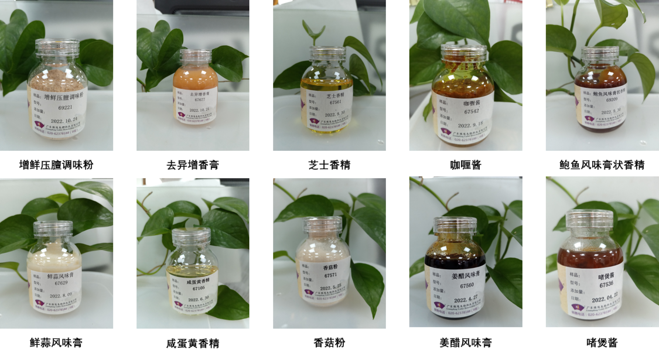 广东雅道食品香精产品系列