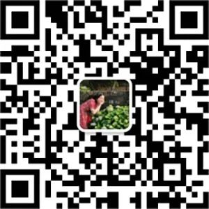 134468ee346c1fbb98fda7e3ed3a8e9ed49a