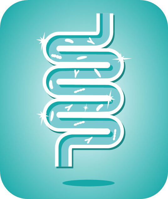 肠道健康  图片来源：赞倍司