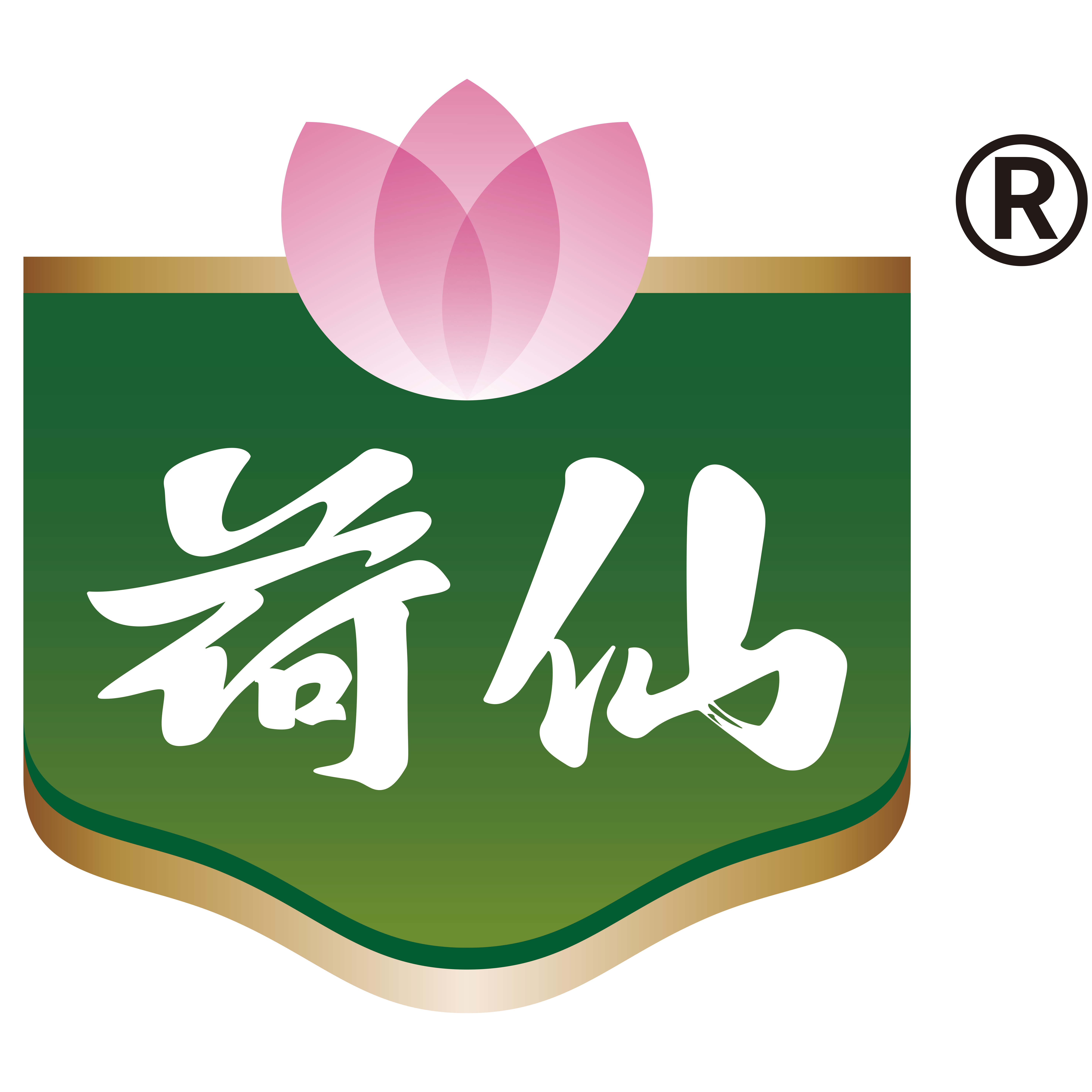 江苏荷仙食品集团有限公司logo