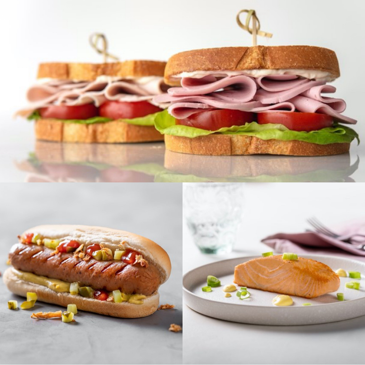 爱百瑞产品应用于植物肉中