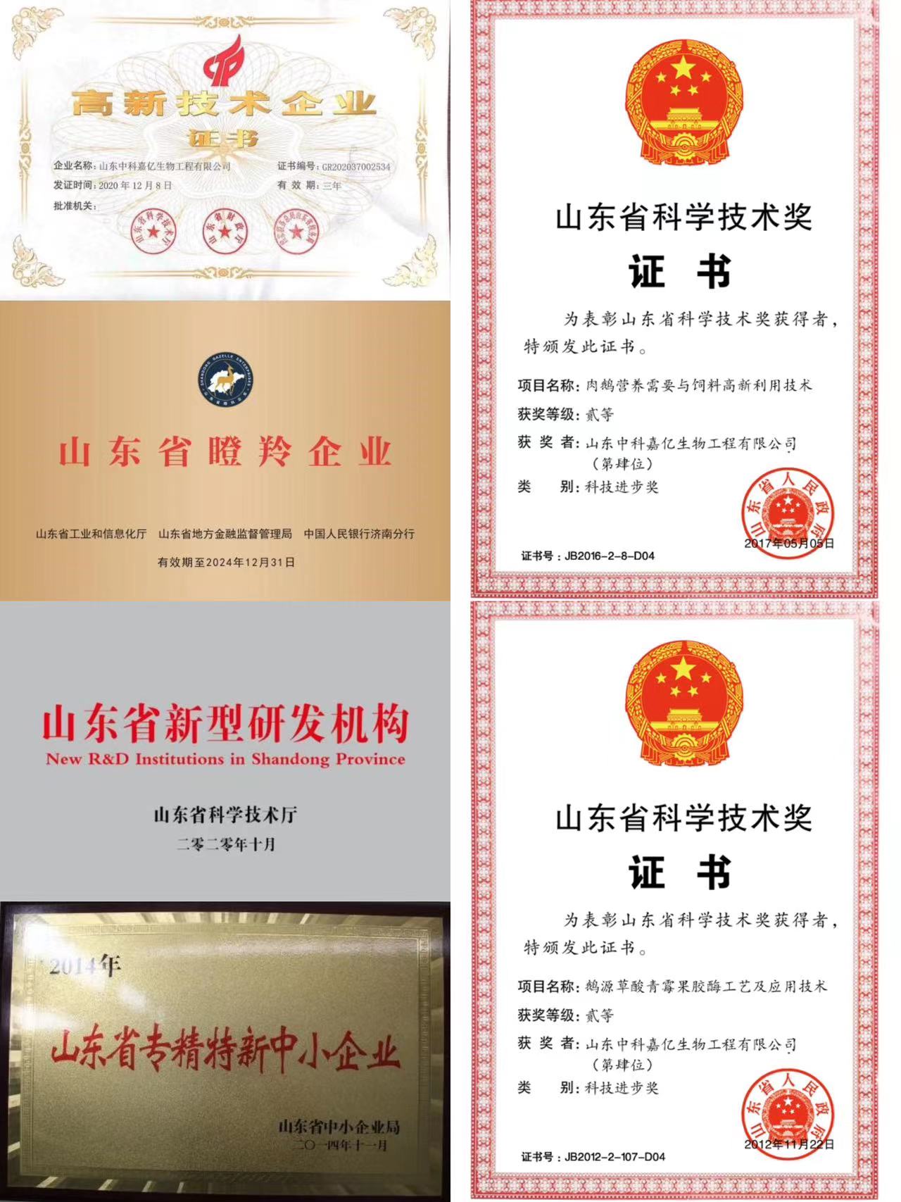 部分中科嘉亿九游会的荣誉证书