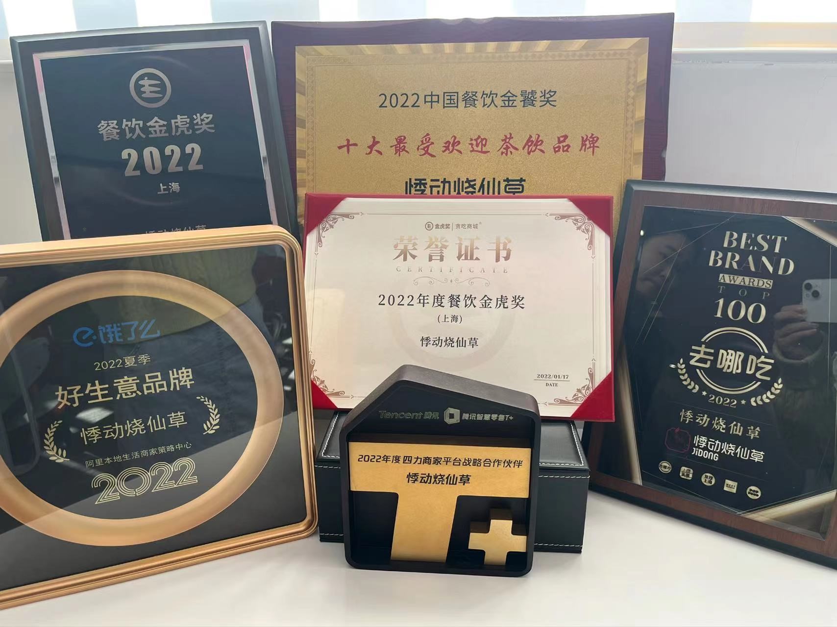 悸动烧仙草2022年所获奖项