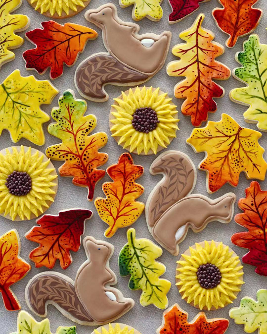 黄色和橙色系列