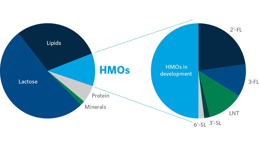 母乳中的营养成分以及当今婴儿配方粉中最常用的母乳低聚糖