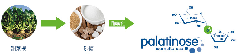 帕拉金糖制备过程