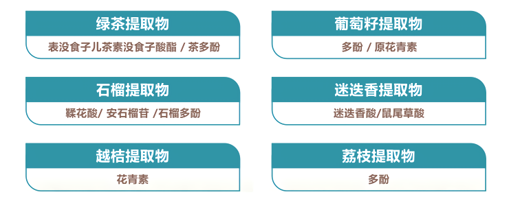 莱茵天然抗氧化剂类型_waifu2x_art_noise3_tta_1