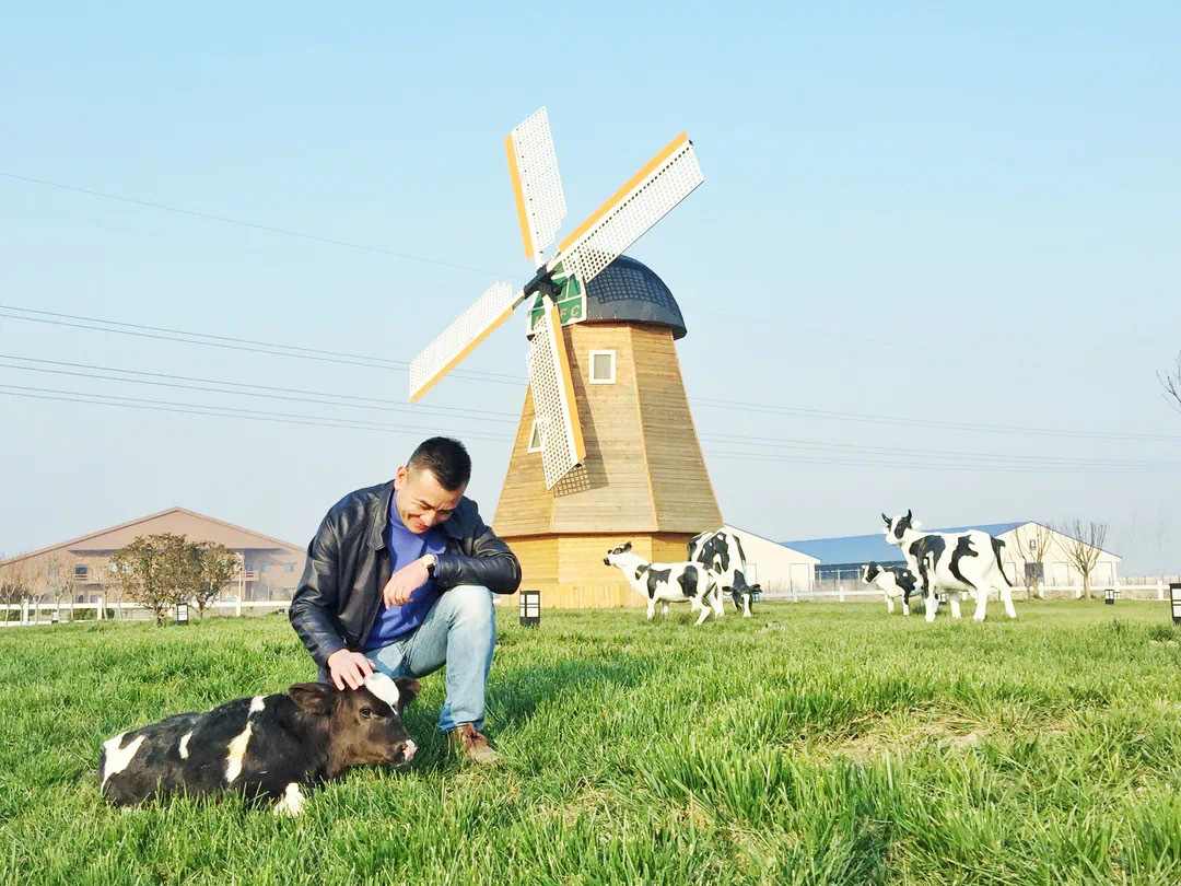 认养一头牛品牌创始人徐晓波 图片来源：微信公众号@认养一头牛 