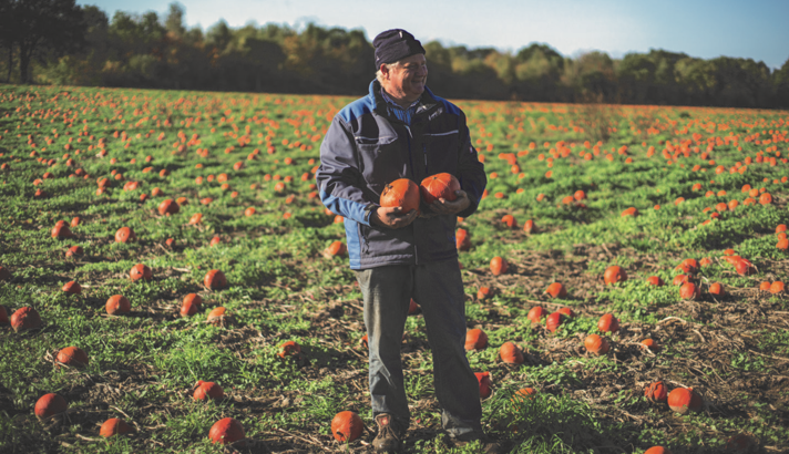 爱百瑞种植户农场
