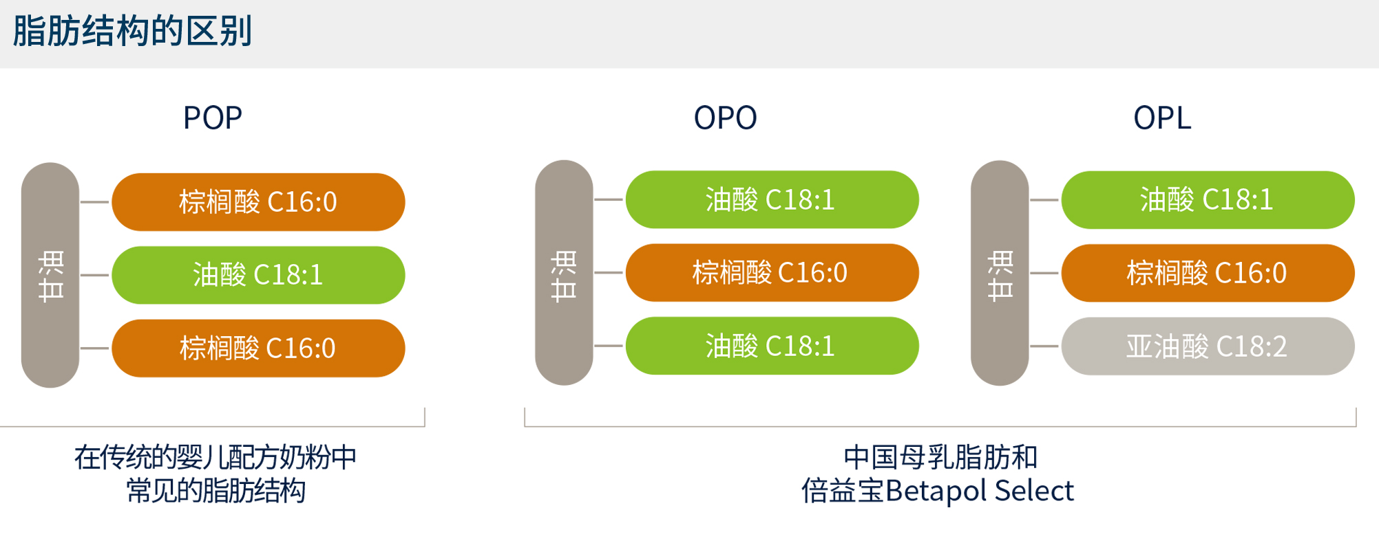 pop、opo、opl脂肪结构的区别