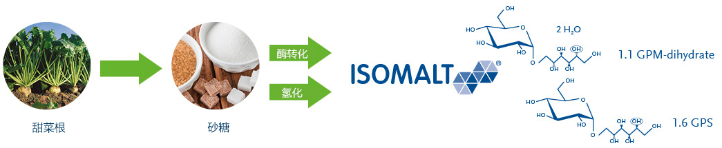 益寿糖制备过程