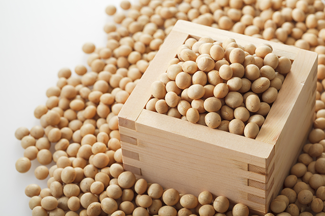 大豆