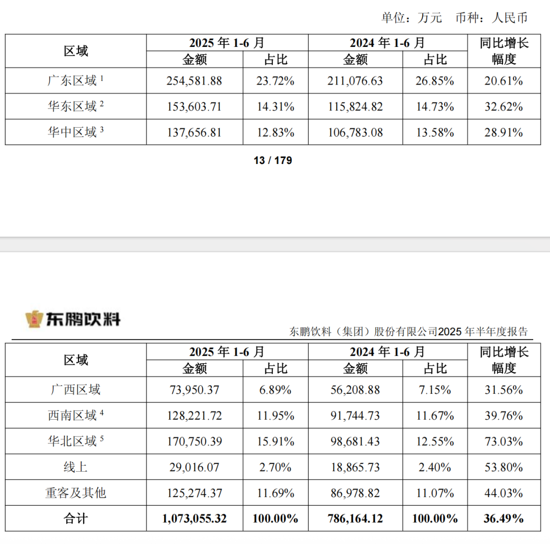 按区域分类收入情况