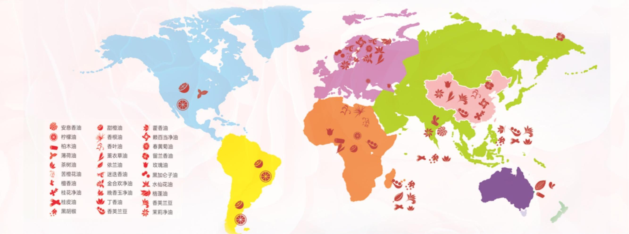 铭康香精原料采购分布图