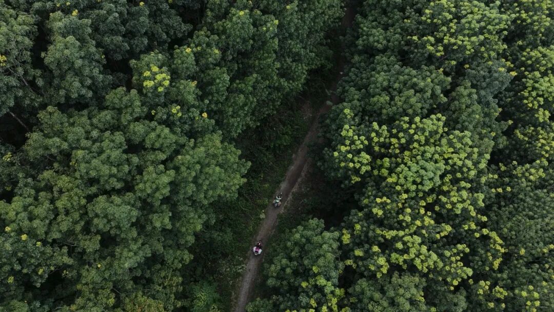 三顿半在云南西双版纳建立了可可农场，在此与农户一起学习和推广种植知识，包括育苗、堆肥，开发出了云南风味的巧克力
