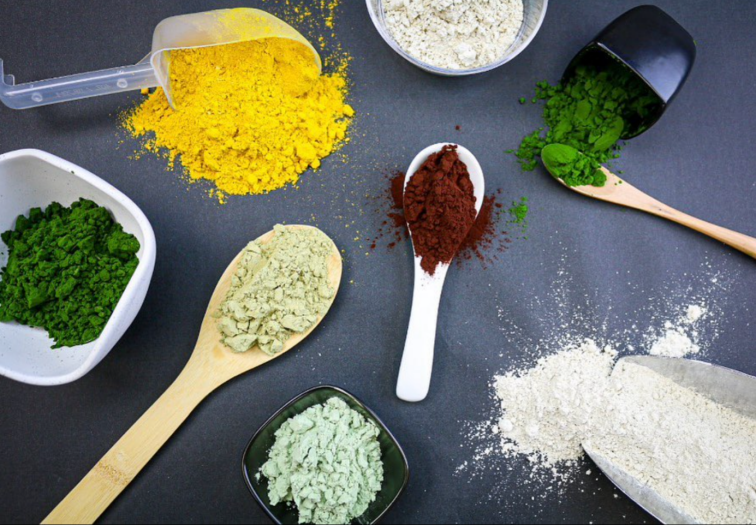 莱茵衣藻白藻照片